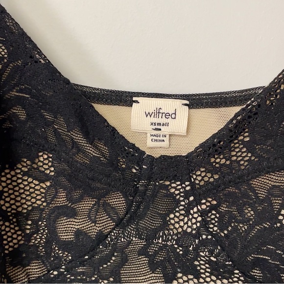 Wilfred Juliette Bustier Lace Dress (Aritzia) - Picture 4 of 5